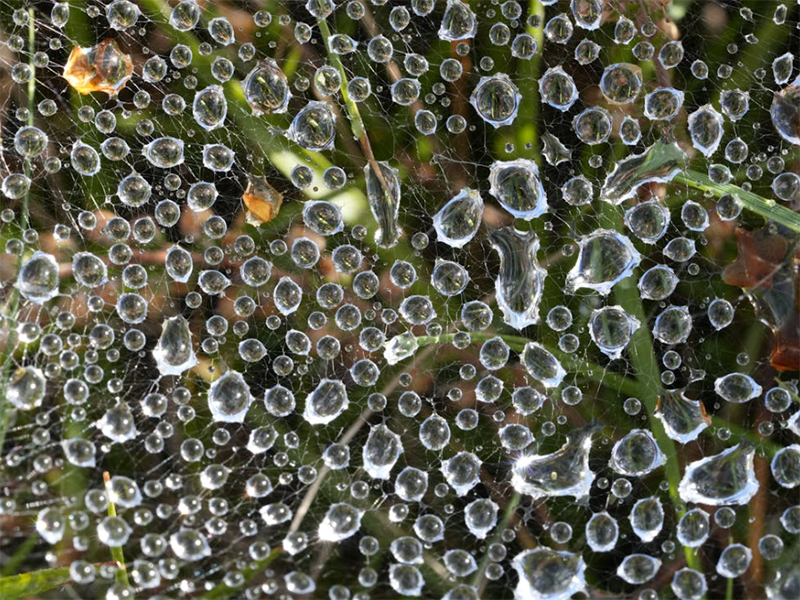 手持水質(zhì)重金屬檢測(cè)儀測(cè)定指標(biāo)（手持水質(zhì)重金屬檢測(cè)儀使用注意事項(xiàng)）